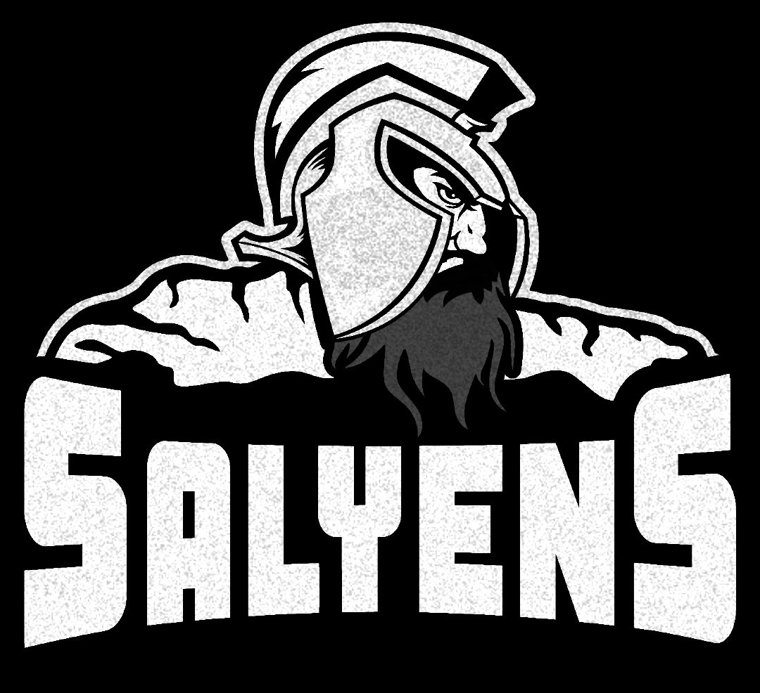 salyens 2017